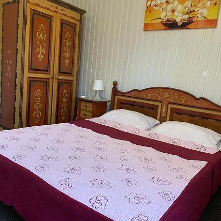 Hotel Casa Romaneasca オトペニ エクステリア 写真