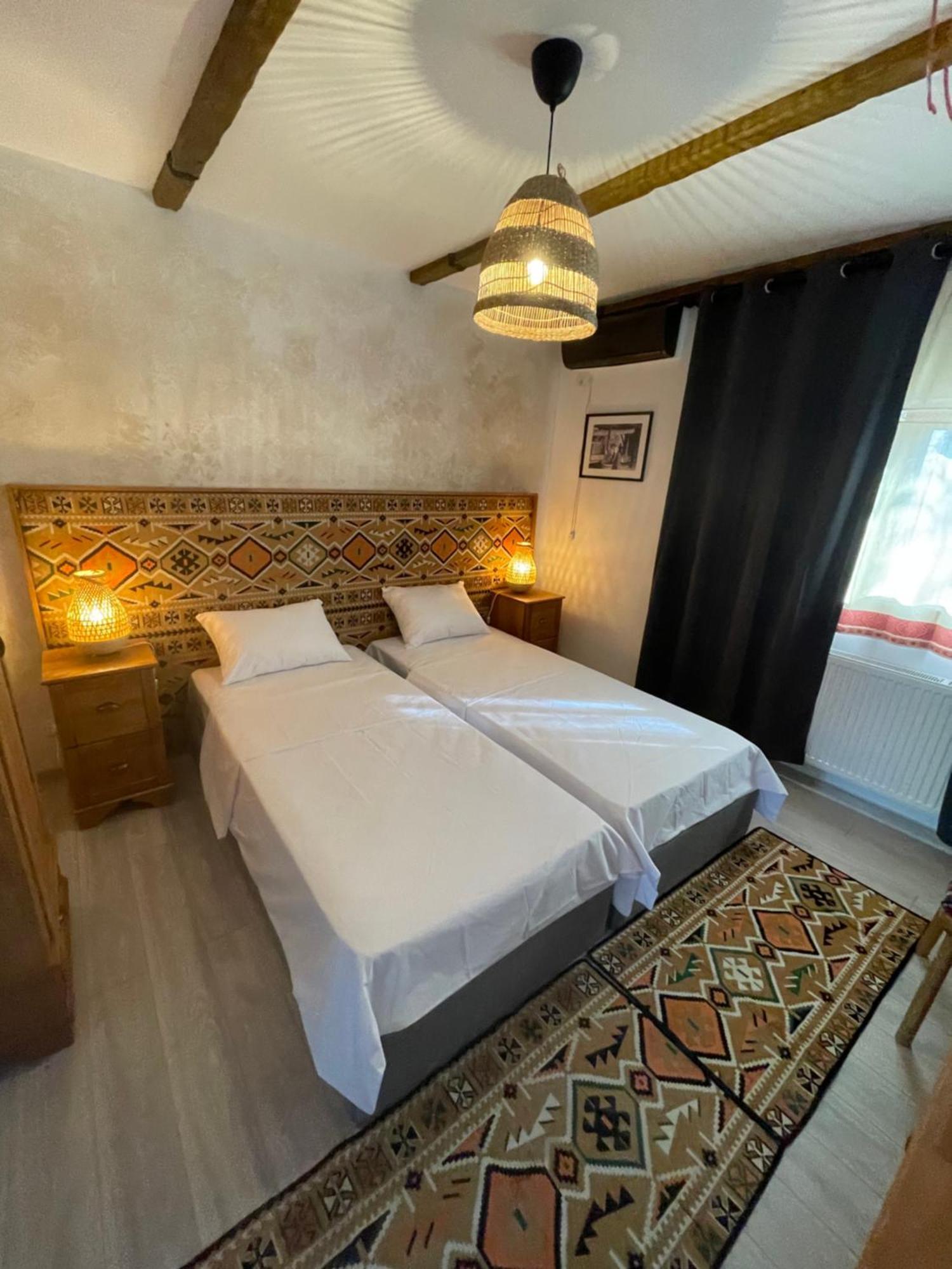 Hotel Casa Romaneasca オトペニ エクステリア 写真